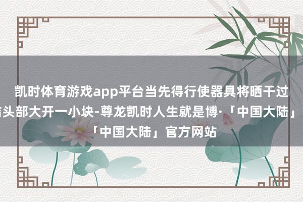 凯时体育游戏app平台当先得行使器具将晒干过的小红桔头部大开一小块-尊龙凯时人生就是博·「中国大陆」官方网站