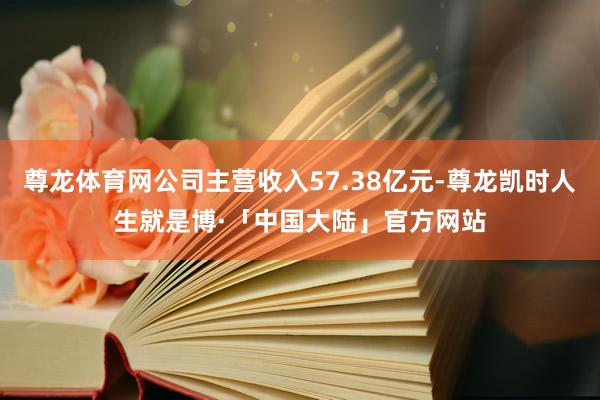 尊龙体育网公司主营收入57.38亿元-尊龙凯时人生就是博·「中国大陆」官方网站